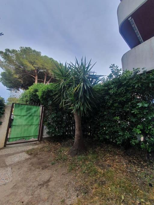 Ccc Holiday Properties Le Vele Ccc Montalto di Castro Exterior photo