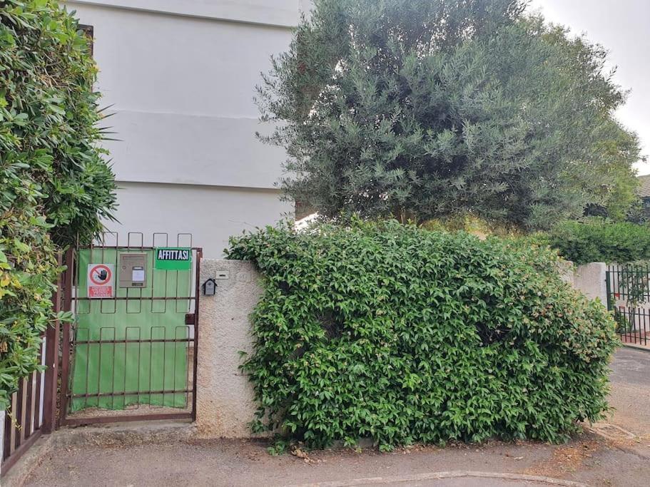 Ccc Holiday Properties Le Vele Ccc Montalto di Castro Exterior photo